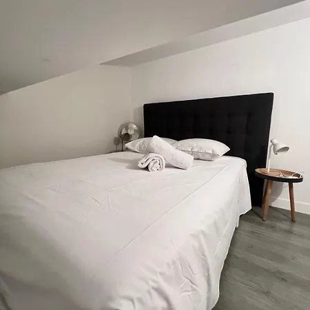 Spacieux T1 Lumineux Au Coeur De